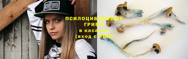 экстази Гусев