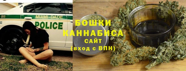 дурь Гусиноозёрск