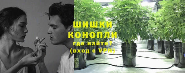 дурь Гусь-Хрустальный