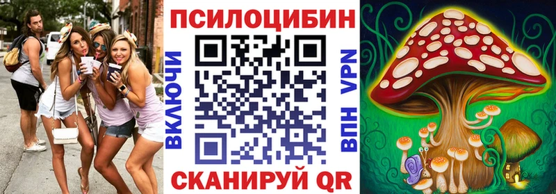 Галлюциногенные грибы Psilocybe  купить  цена  Гдов 